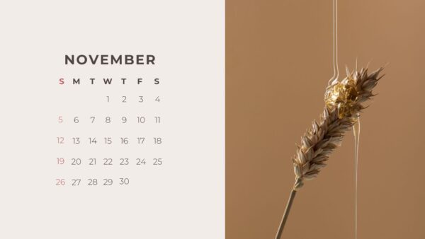 Boho Bianca Calendars - Image 3